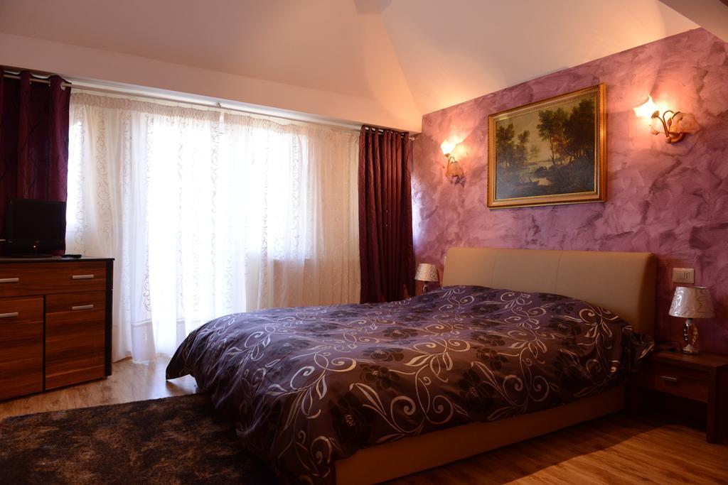 Vila Perla Sapanteana Săpînţa 객실 사진